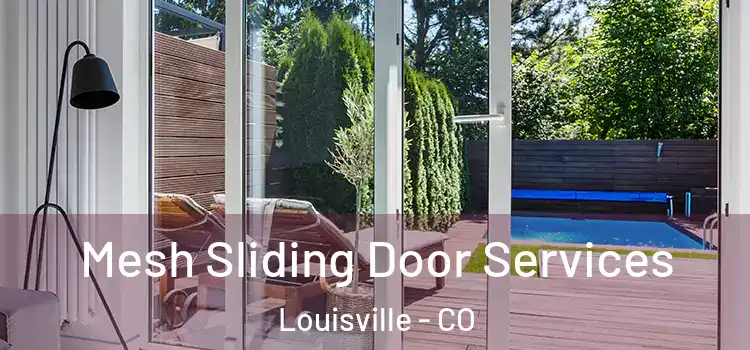 Mesh Sliding Door Services Louisville - CO